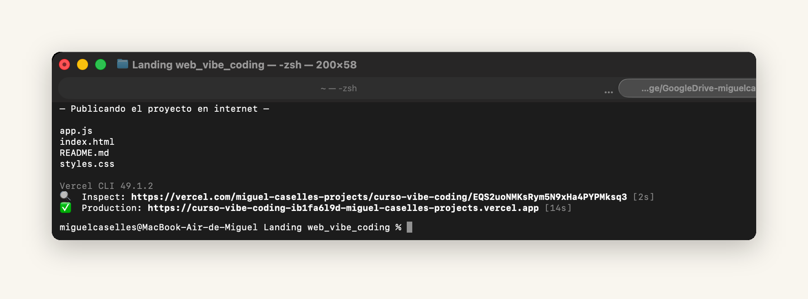 Terminal mostrando la publicación del proyecto y la dirección pública donde queda accesible.